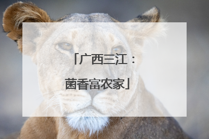 广西三江：菌香富农家