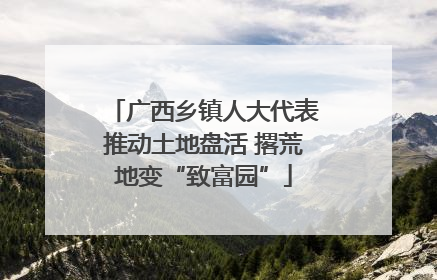 广西乡镇人大代表推动土地盘活 撂荒地变“致富园”