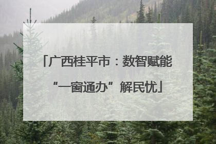 广西桂平市：数智赋能“一窗通办”解民忧