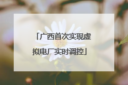 广西首次实现虚拟电厂实时调控