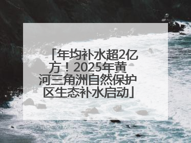 年均补水超2亿方！2025年黄河三角洲自然保护区生态补水启动
