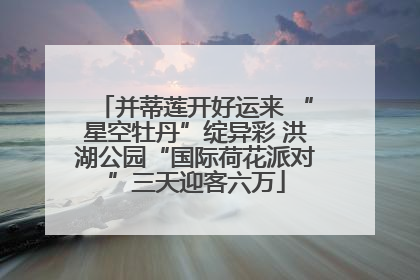 并蒂莲开好运来 “星空牡丹”绽异彩 洪湖公园“国际荷花派对”三天迎客六万
