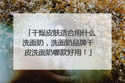 干燥皮肤适合用什么洗面奶，洗面奶品牌干皮洗面奶哪款好用！