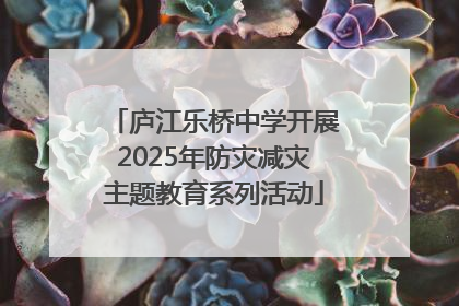 庐江乐桥中学开展2025年防灾减灾主题教育系列活动