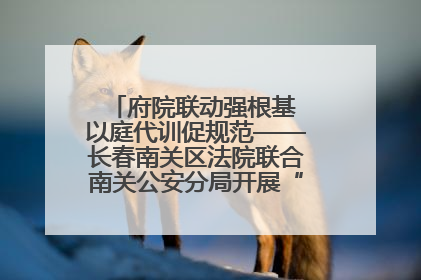 府院联动强根基 以庭代训促规范——长春南关区法院联合南关公安分局开展“以庭代训”