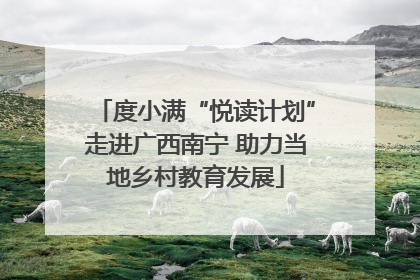 度小满“悦读计划”走进广西南宁 助力当地乡村教育发展