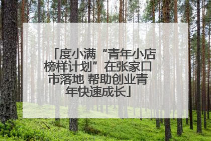 度小满“青年小店榜样计划”在张家口市落地 帮助创业青年快速成长