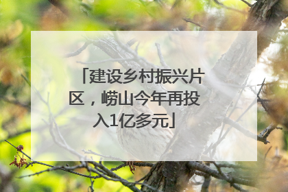 建设乡村振兴片区，崂山今年再投入1亿多元