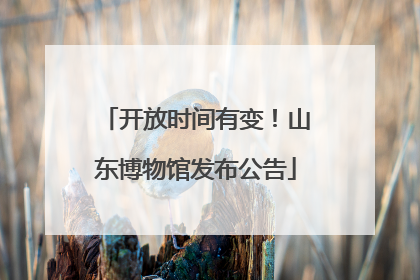 开放时间有变！山东博物馆发布公告