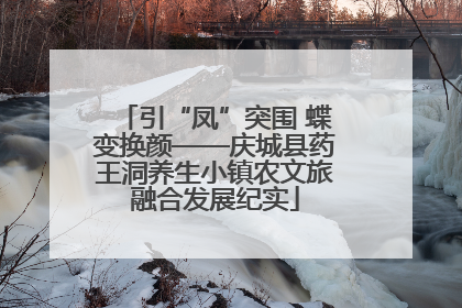 引“凤”突围 蝶变换颜——庆城县药王洞养生小镇农文旅融合发展纪实