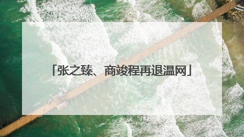 张之臻、商竣程再退温网