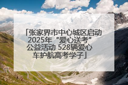 张家界市中心城区启动2025年“爱心送考”公益活动 528辆爱心车护航高考学子