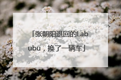 张朝阳退回的Labubu，换了一辆车