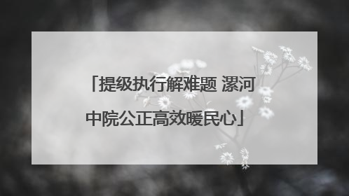 提级执行解难题 漯河中院公正高效暖民心