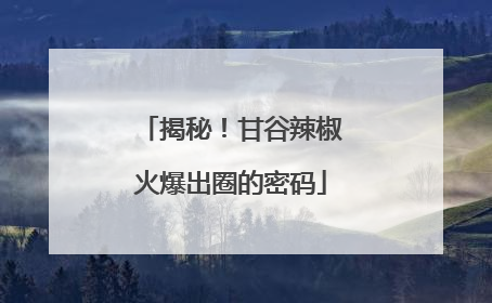 揭秘！甘谷辣椒火爆出圈的密码
