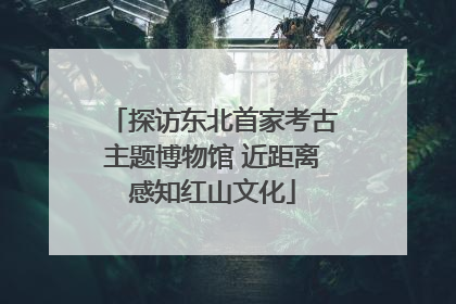 探访东北首家考古主题博物馆 近距离感知红山文化