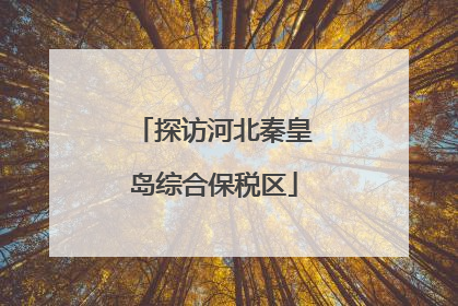 探访河北秦皇岛综合保税区