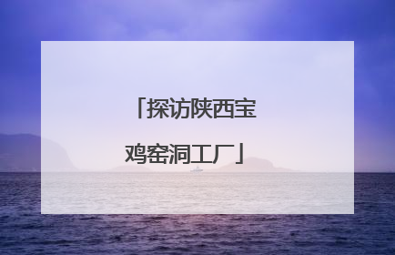 探访陕西宝鸡窑洞工厂