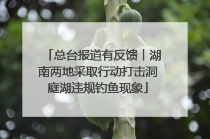总台报道有反馈丨湖南两地采取行动打击洞庭湖违规钓鱼现象