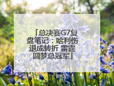 总决赛G7复盘笔记：哈利伤退成转折 雷霆圆梦总冠军