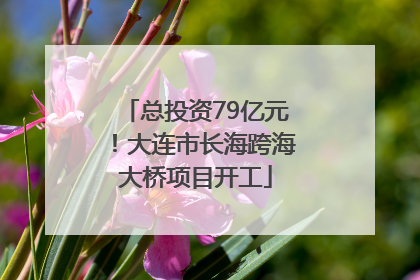 总投资79亿元！大连市长海跨海大桥项目开工
