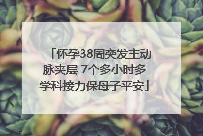 怀孕38周突发主动脉夹层 7个多小时多学科接力保母子平安