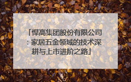 悍高集团股份有限公司：家居五金领域的技术深耕与上市进阶之路