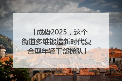 成势2025，这个街道多维锻造新时代复合型年轻干部梯队
