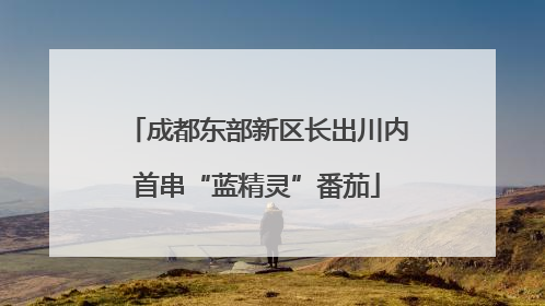成都东部新区长出川内首串“蓝精灵”番茄