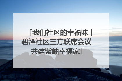 我们社区的幸福味｜碧潭社区三方联席会议共建紫岫幸福家