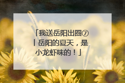 我送岳阳出圈⑦丨岳阳的夏天，是小龙虾味的！