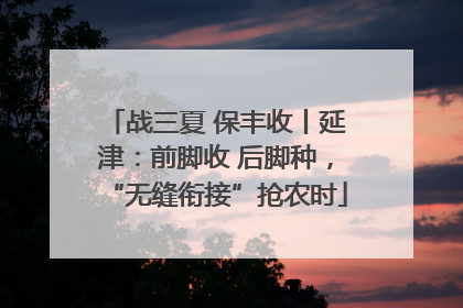 战三夏 保丰收丨延津：前脚收 后脚种，“无缝衔接”抢农时