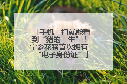 手机一扫就能看到“猪的一生”！宁乡花猪首次拥有“电子身份证”