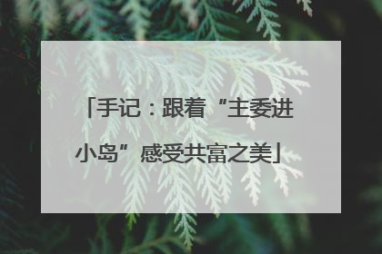 手记：跟着“主委进小岛”感受共富之美