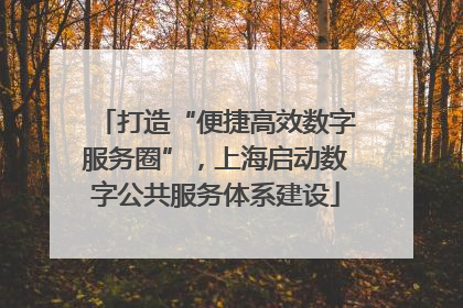 打造“便捷高效数字服务圈”，上海启动数字公共服务体系建设