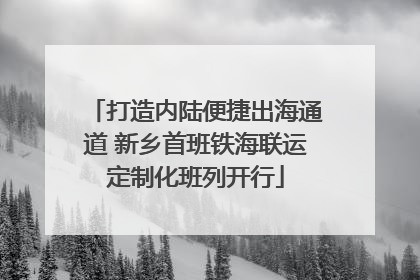 打造内陆便捷出海通道 新乡首班铁海联运定制化班列开行