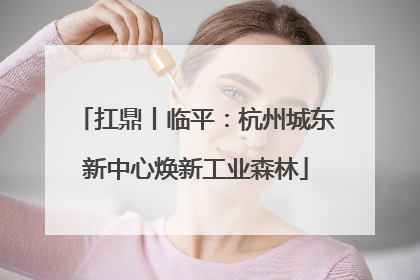 扛鼎丨临平：杭州城东新中心焕新工业森林
