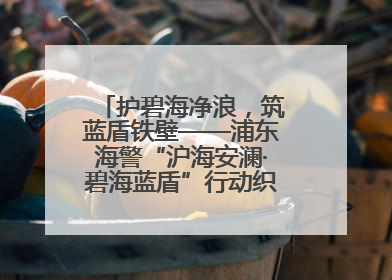 护碧海净浪，筑蓝盾铁壁——浦东海警“沪海安澜·碧海蓝盾”行动织密立体防控网