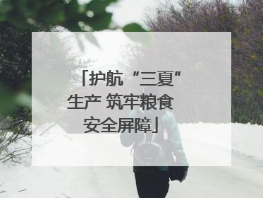 护航“三夏”生产 筑牢粮食安全屏障