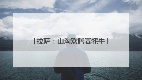 拉萨：山沟欢腾赛牦牛