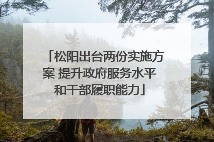 松阳出台两份实施方案 提升政府服务水平和干部履职能力