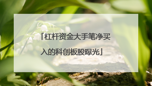 杠杆资金大手笔净买入的科创板股曝光