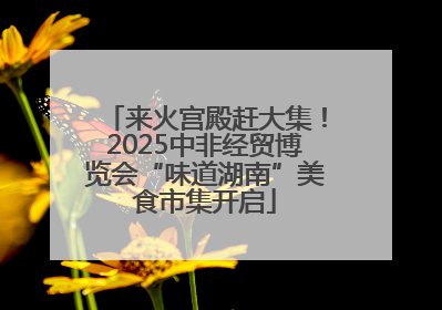 来火宫殿赶大集！2025中非经贸博览会“味道湖南”美食市集开启