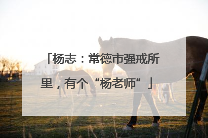 杨志：常德市强戒所里，有个“杨老师”