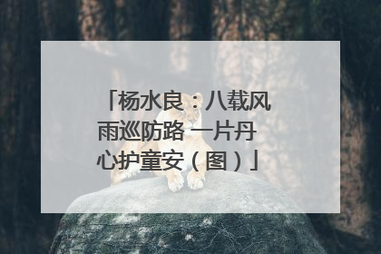 杨水良：八载风雨巡防路 一片丹心护童安（图）