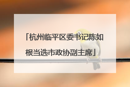 杭州临平区委书记陈如根当选市政协副主席