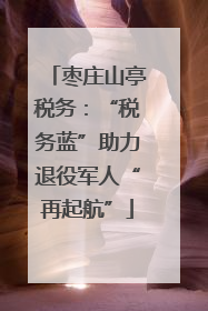 枣庄山亭税务：“税务蓝”助力退役军人“再起航”