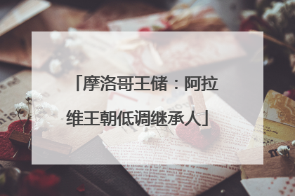 摩洛哥王储：阿拉维王朝低调继承人