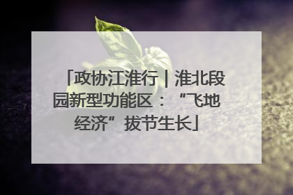 政协江淮行｜淮北段园新型功能区：“飞地经济”拔节生长