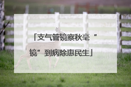 支气管镜察秋毫“镜”到病除惠民生